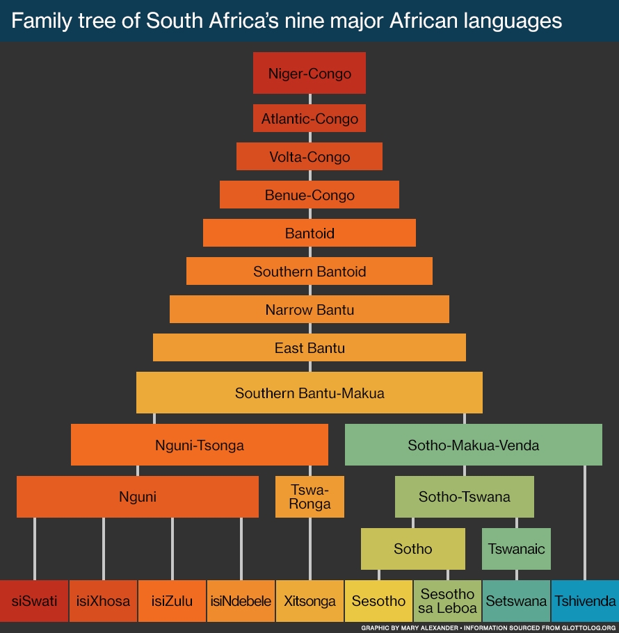 The Languages Of South Africa South Africa Gateway