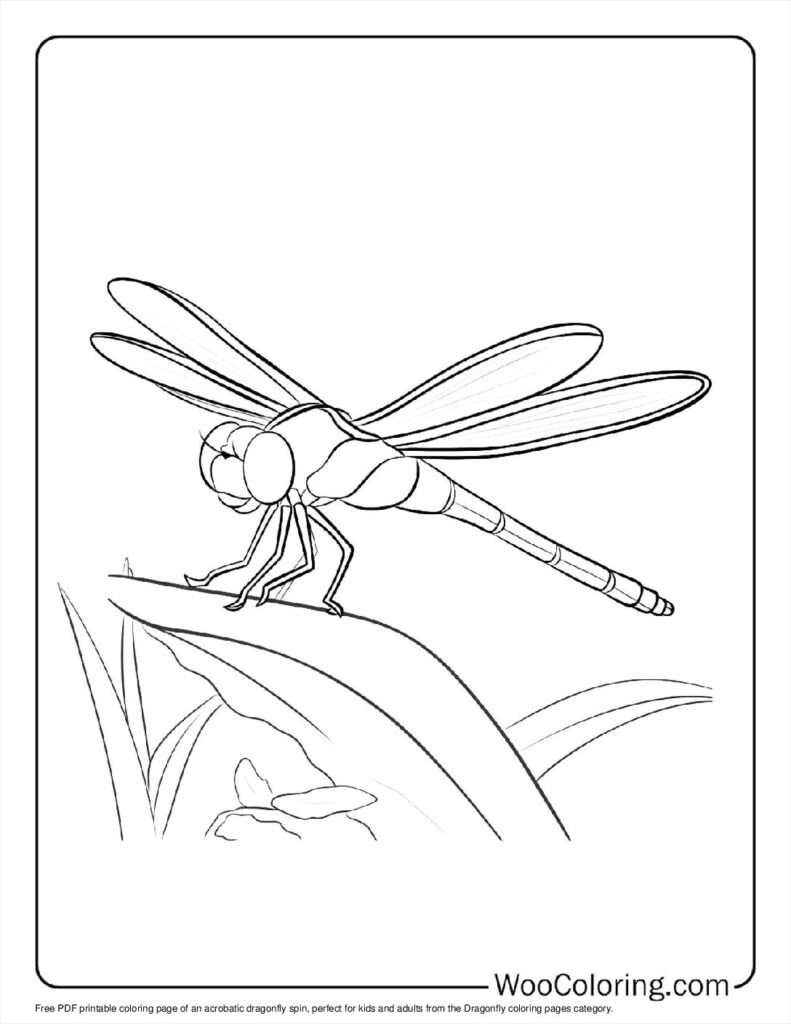 100 Dragonfly Coloring Pages Free PDF To Print Woo Coloring