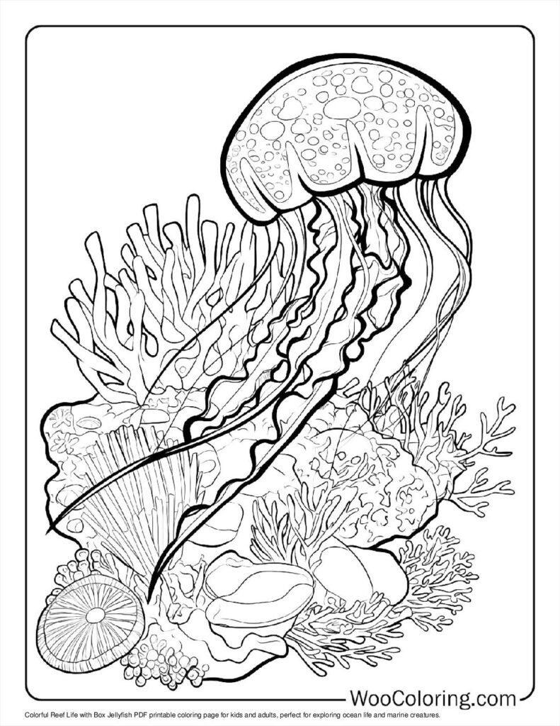 jelly fish coloring page