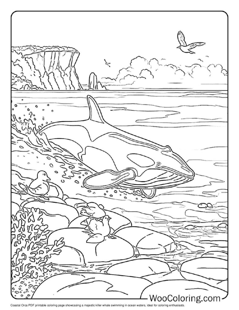 100 Killer Whale Coloring Pages Free PDF To Print Woo Coloring