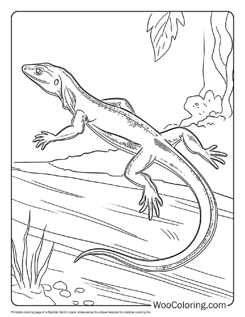 100 Lizard Coloring Pages Free PDF To Print Woo Coloring