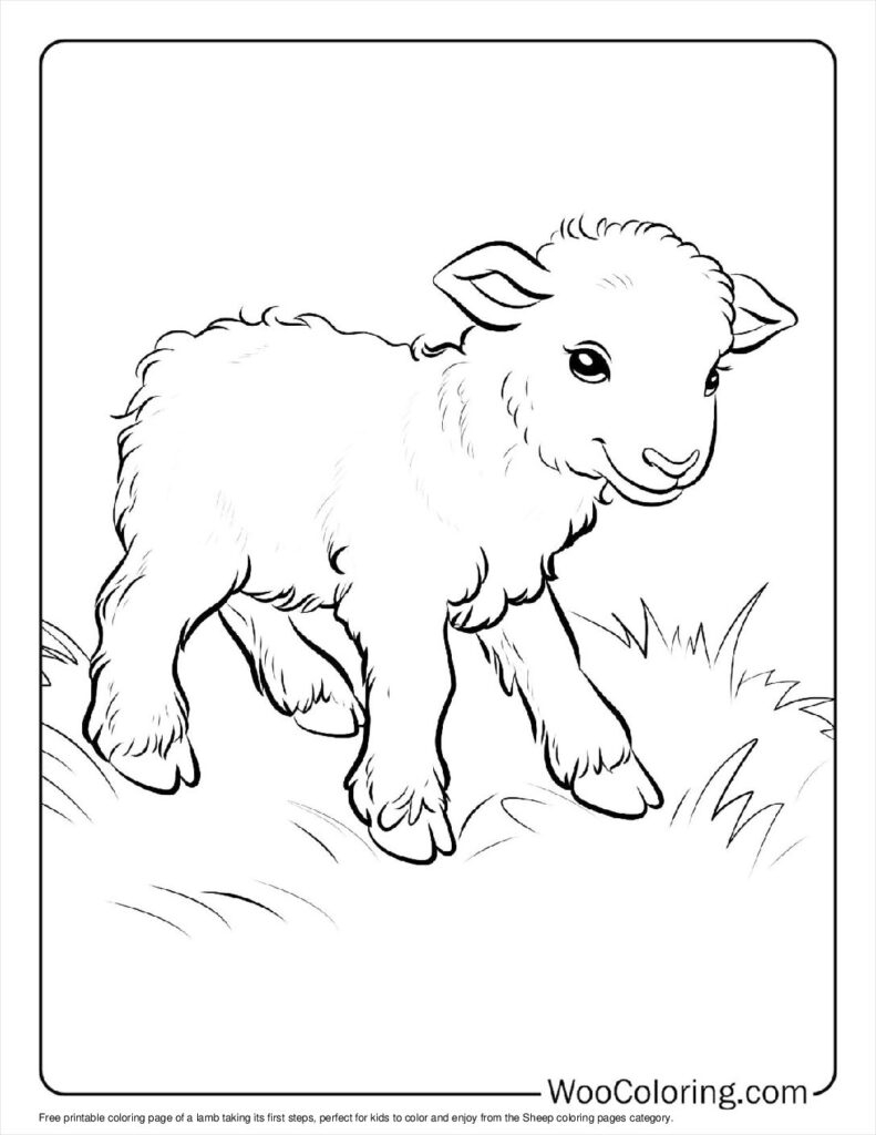 sheep images to color