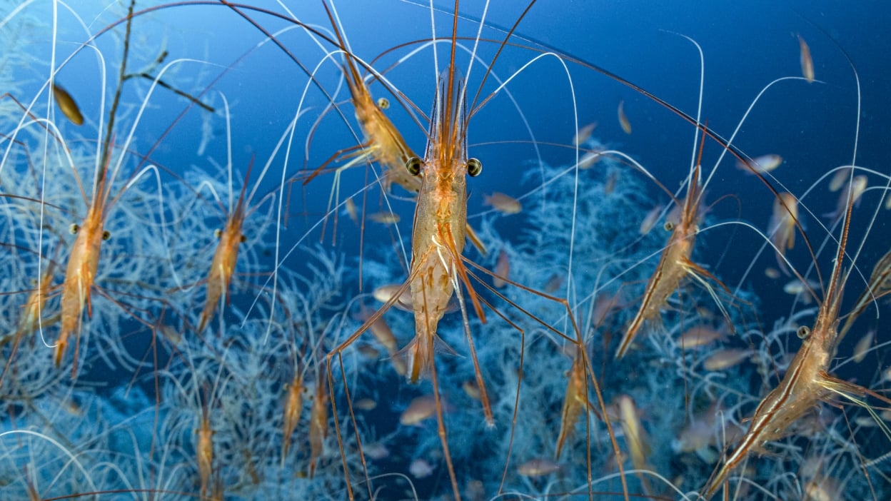 15 Incredible Wildlife Photos That Show Nature s Quiet Striking And Brutal Moments Mashable 15 Incredible Wildlife Photos That Show Nature s Quiet Striking And Brutal Moments Mashable