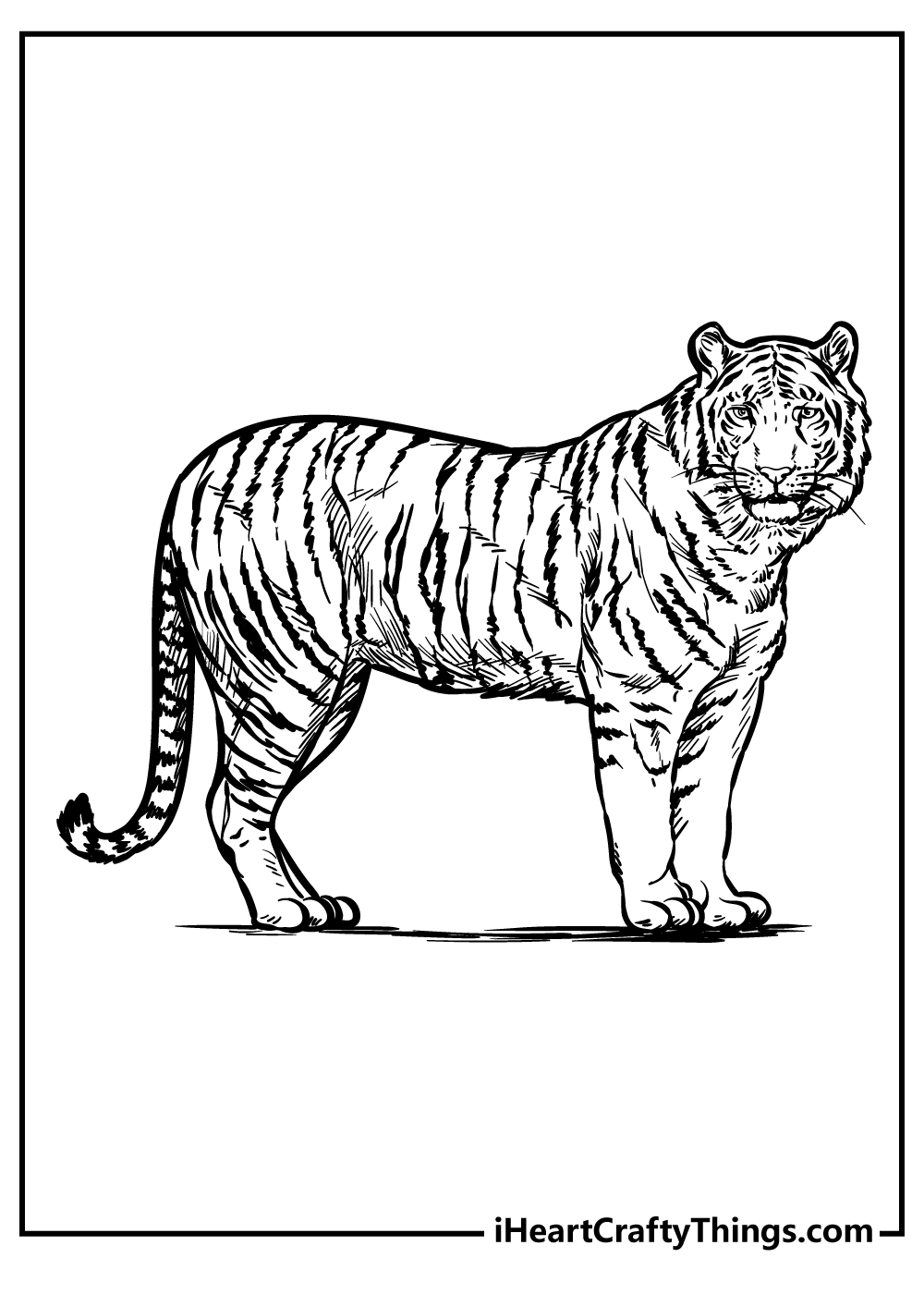 200 Zoo Animals Coloring Pages 100 Free Printables 200 Zoo Animals Coloring Pages 100 Free Printables