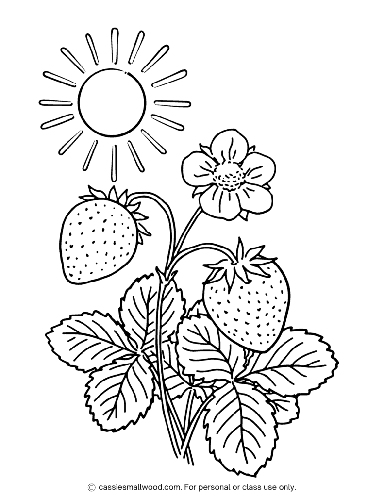 27 CUTE Strawberry Coloring Pages Cassie Smallwood