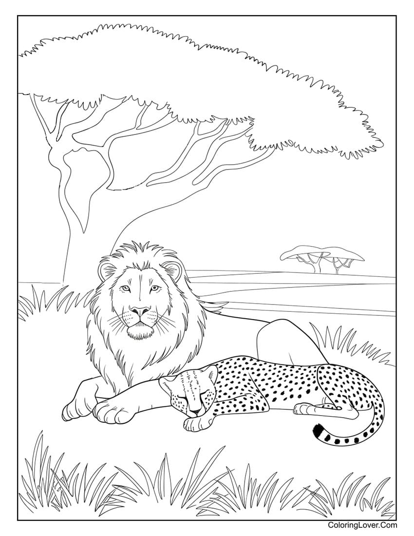 coloring picture of a lion