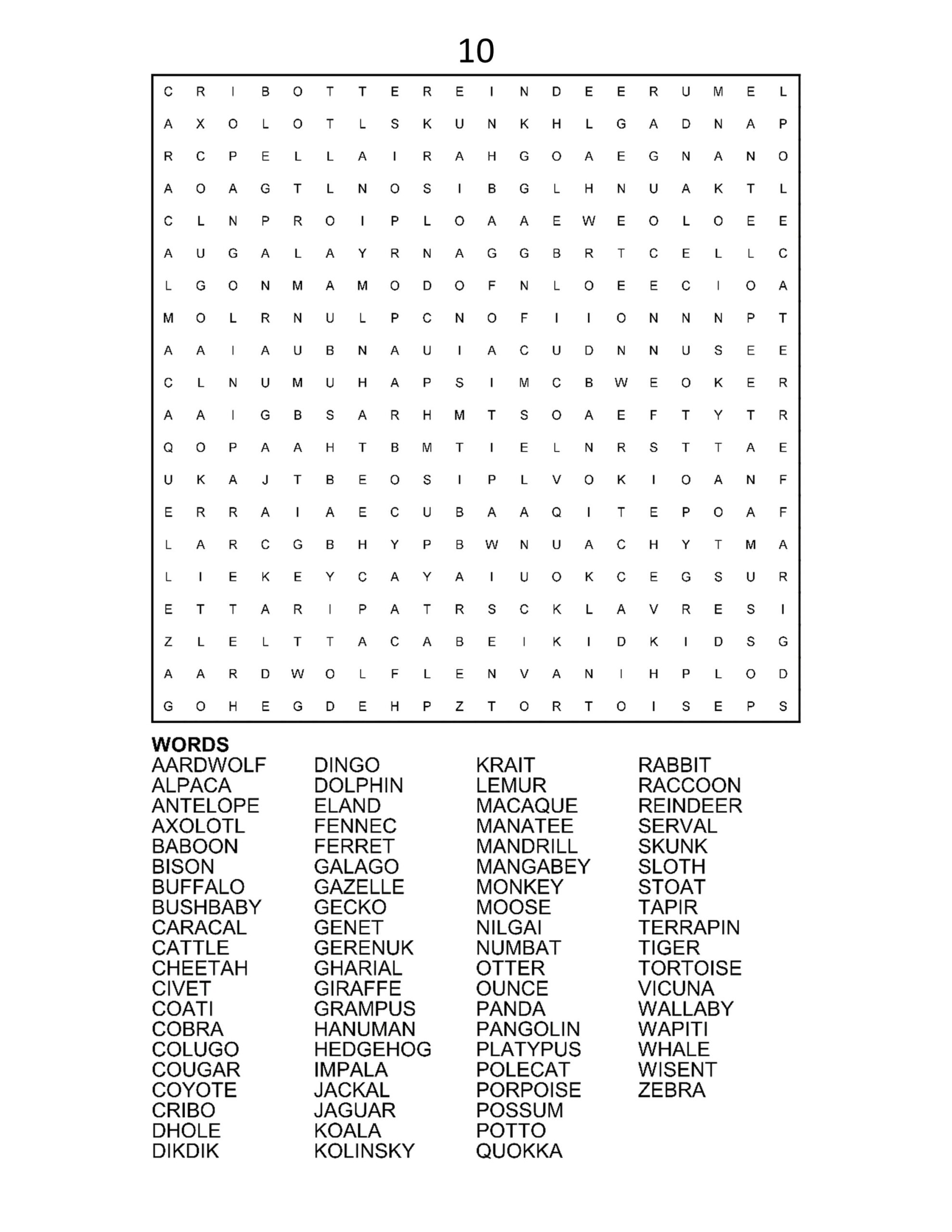 60 Large Print Word Search Puzzles Etsy