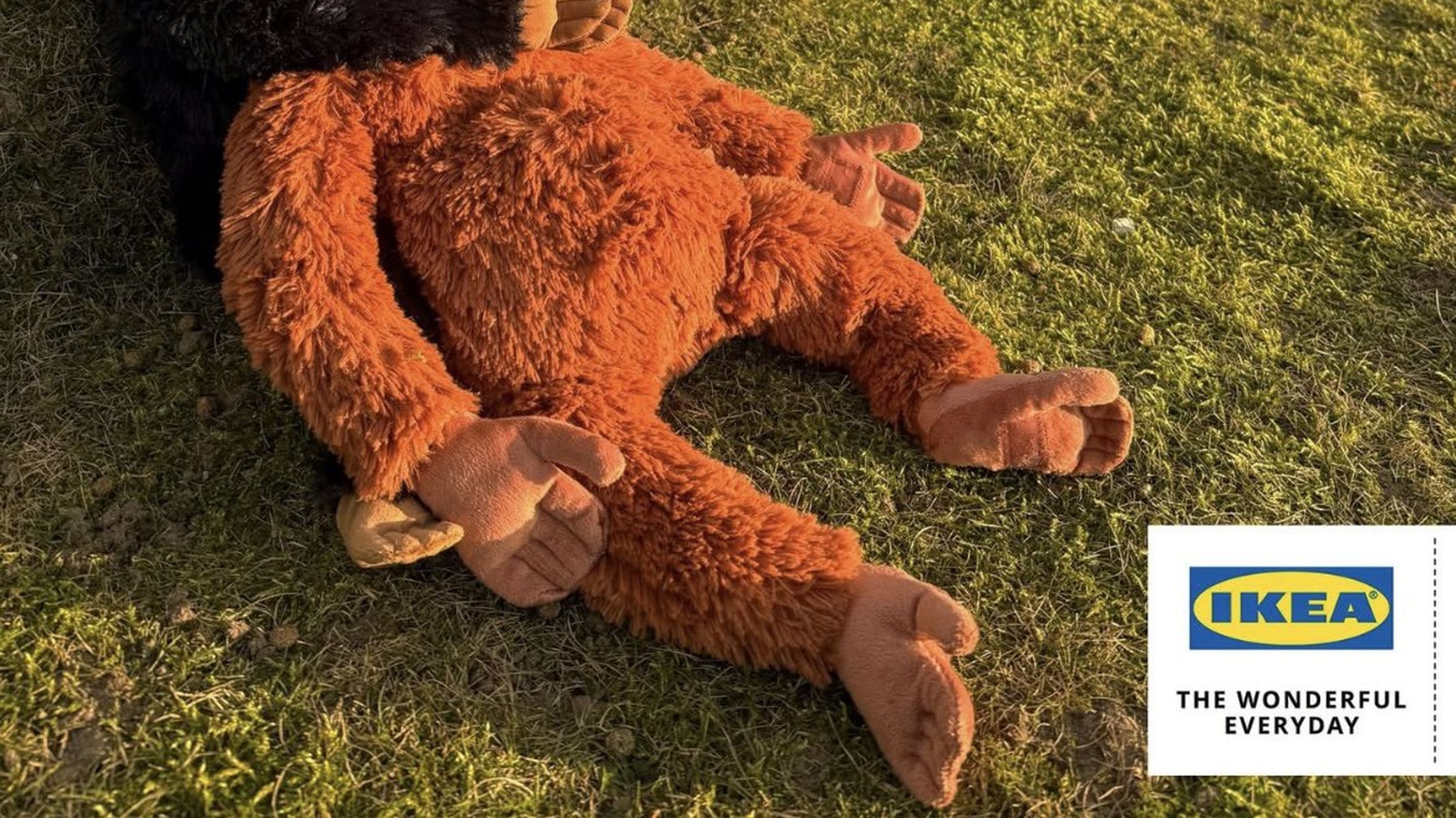 After Lonely Baby Monkey Goes Viral His Ikea Comfort Toy Sells Out