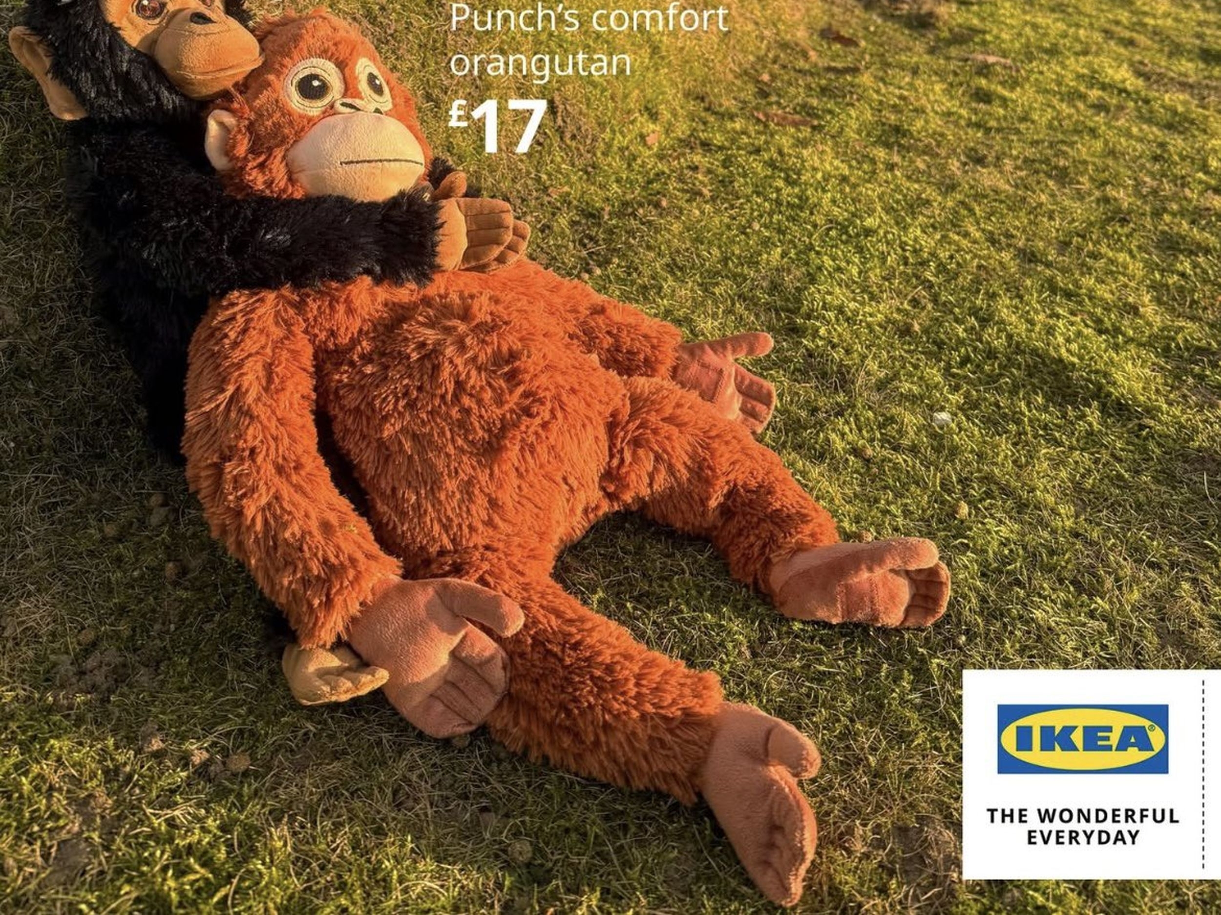 After Lonely Baby Monkey Goes Viral His Ikea Comfort Toy Sells Out