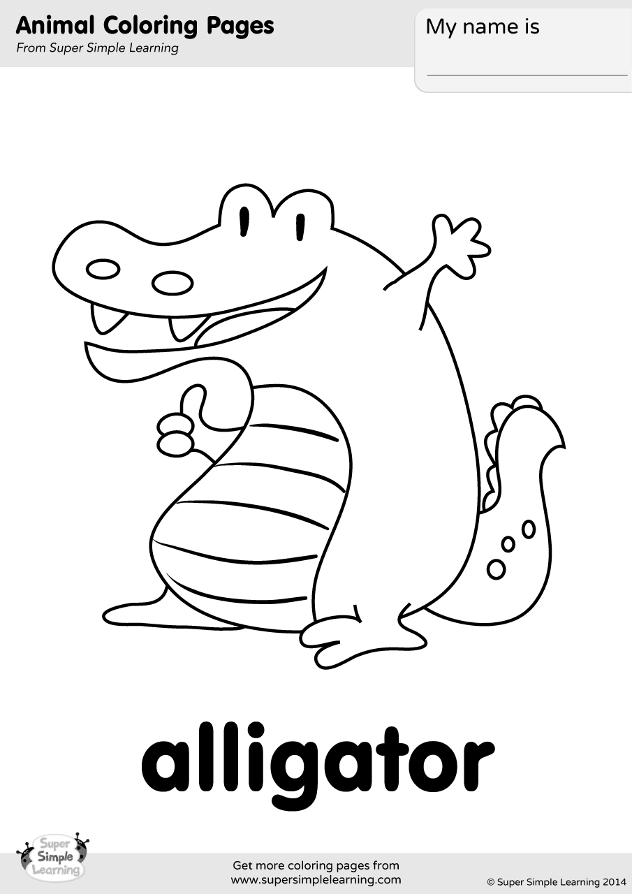 Alligator Coloring Page Super Simple