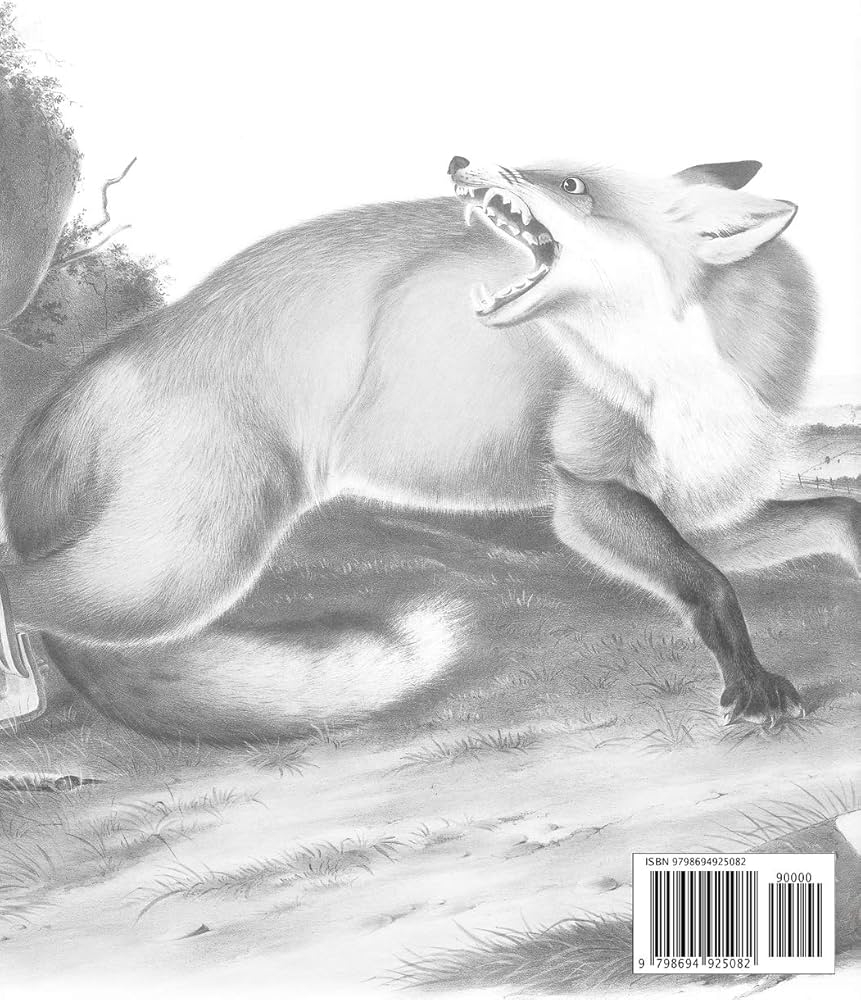 Amazon Wild Animals Coloring Book 40 Coloring Pages Of Audubon Illustrations Of North American Wildlife Including Wolf Bear Tiger Deer Bison Wildlife Coloring Book For Adults Teens And Older Kids 9798694925082 Ashley