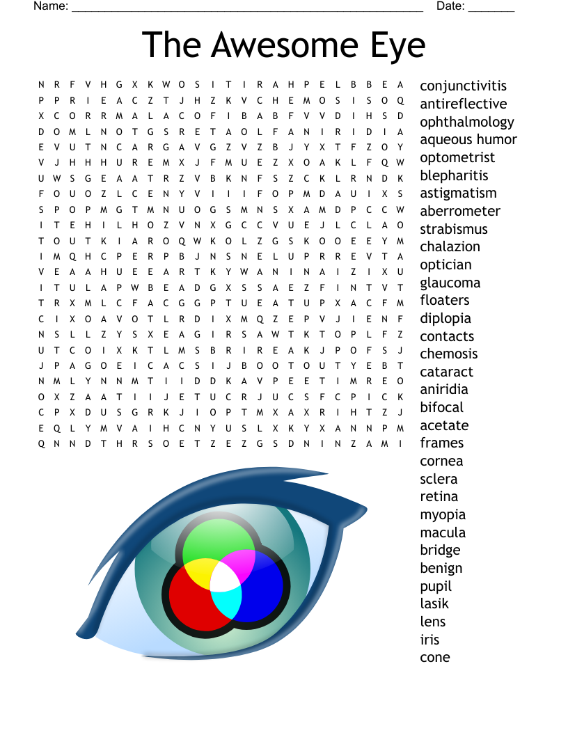 Anatomy Of The Eye Crossword WordMint Anatomy Of The Eye Crossword WordMint