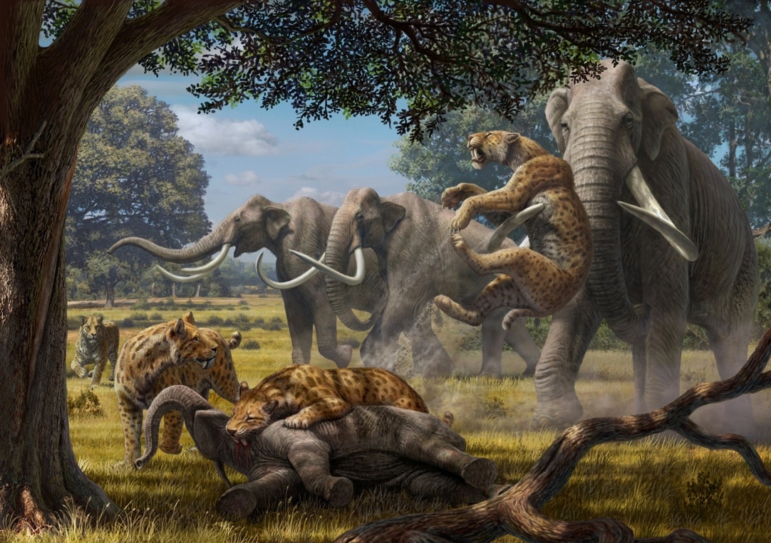 Ancient Super Predators Could Take Down Young Mammoths Live Science