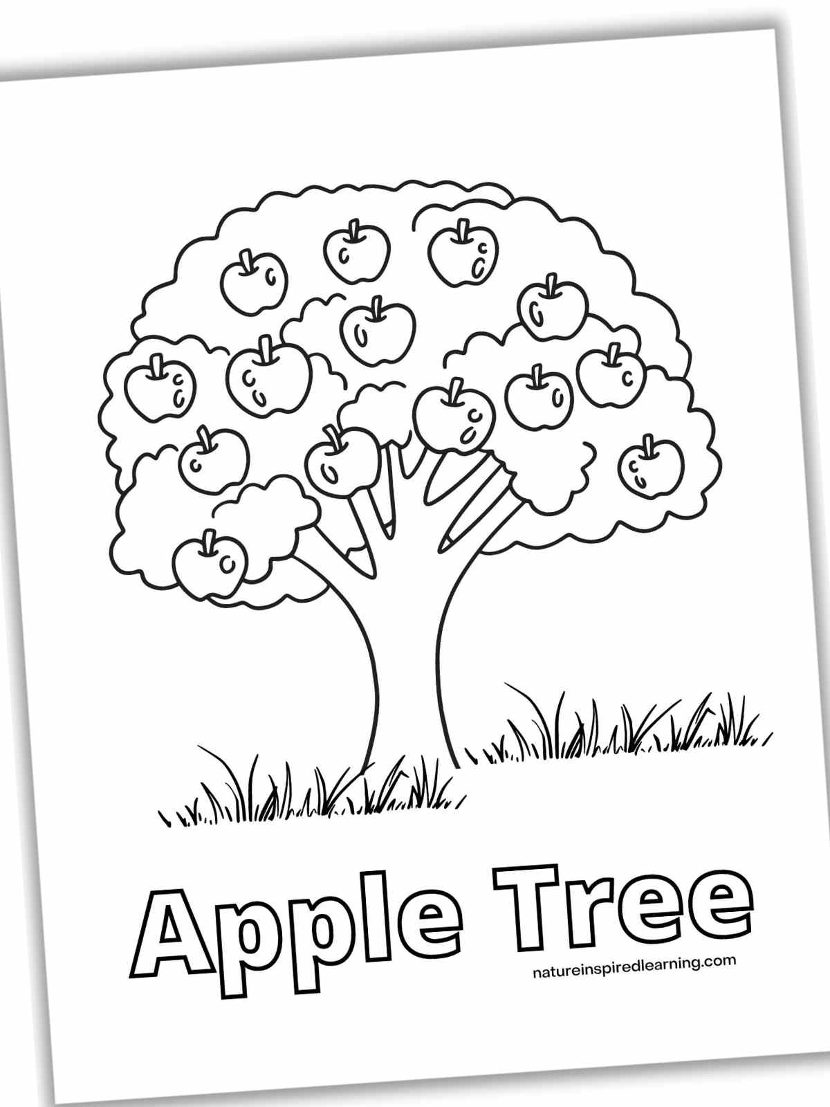 apple tree coloring page apple tree coloring page