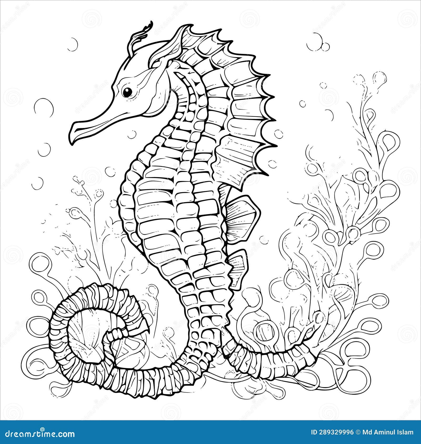 Beautiful Seahorse Coloring Page For Kids Stock Vector Illustration Of Coloring Colouring 289329996 Beautiful Seahorse Coloring Page For Kids Stock Vector Illustration Of Coloring Colouring 289329996