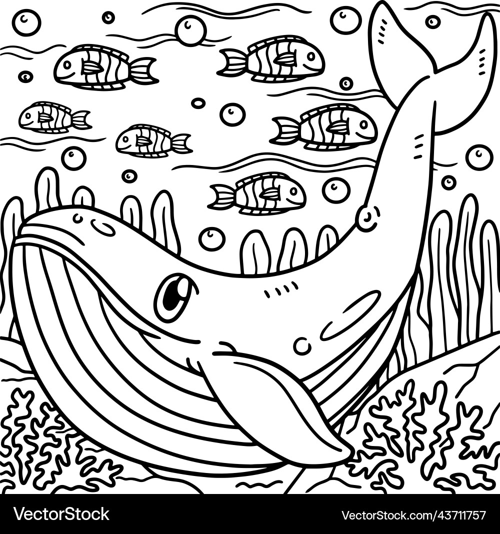 Blue Whale Coloring Page Royalty Free Vector VectorStock Blue Whale Coloring Page Royalty Free Vector VectorStock