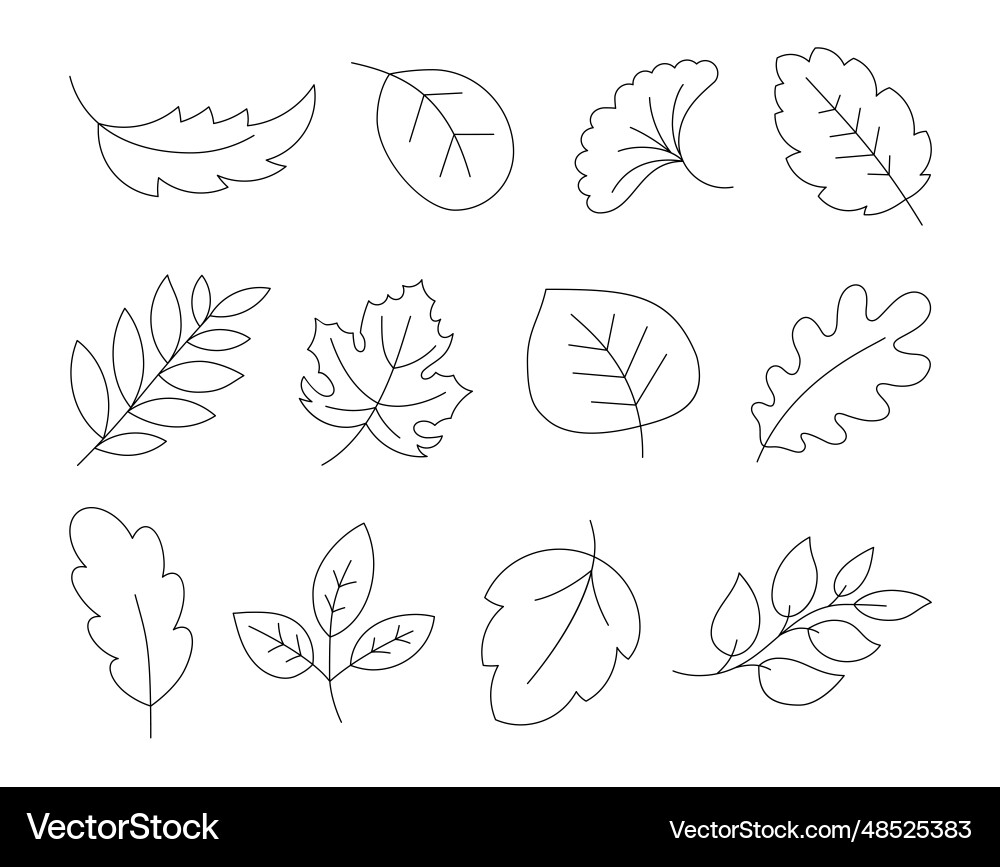 Cartoon Autumn Leaves Coloring Page Royalty Free Vector VectorStock Cartoon Autumn Leaves Coloring Page Royalty Free Vector VectorStock