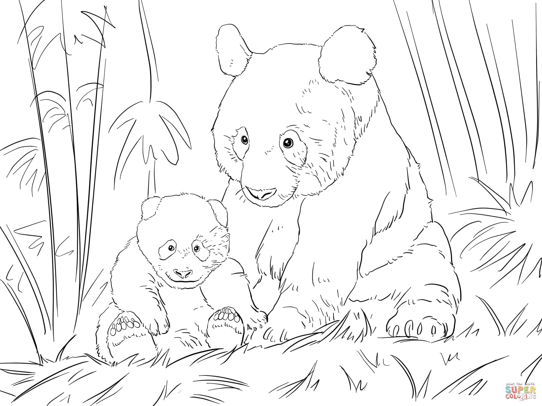 giant panda coloring page