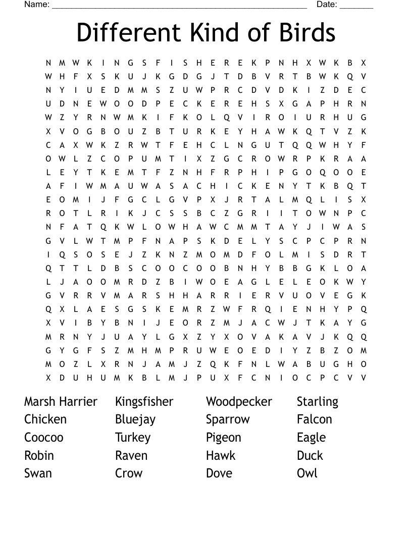 Different Kind Of Birds Word Search WordMint Different Kind Of Birds Word Search WordMint