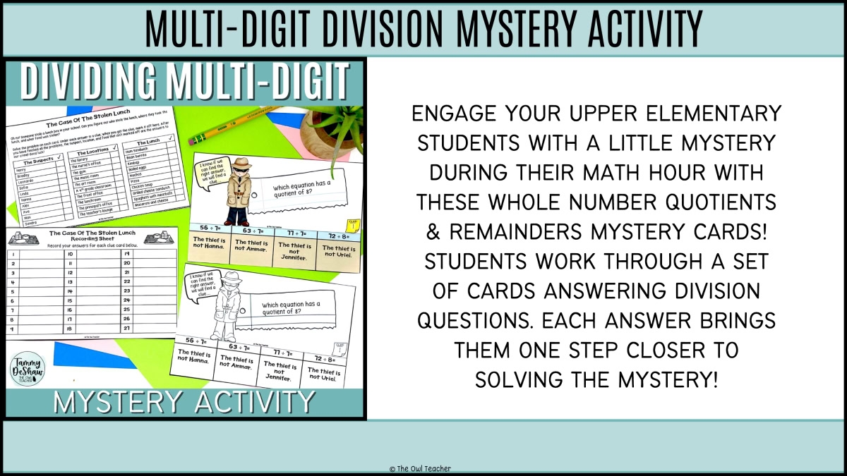 multidigit division mystery picture