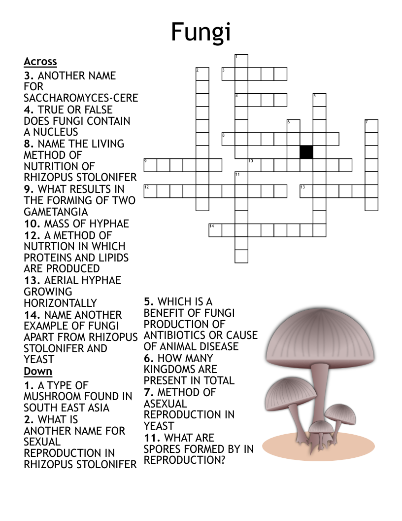 Final Exam Crossword WordMint