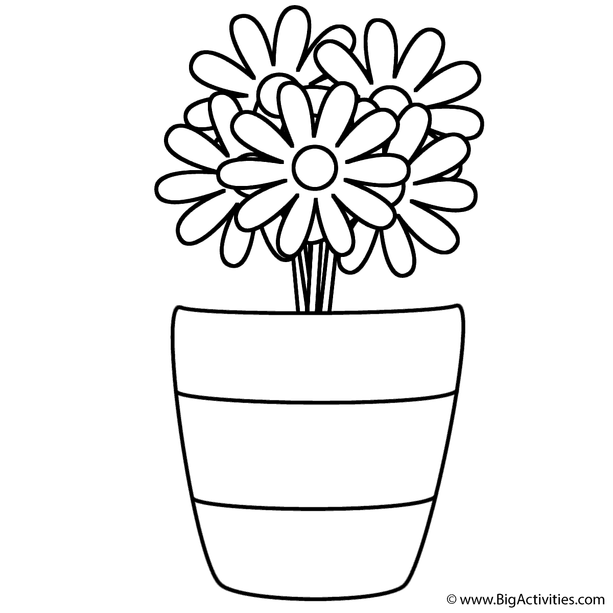 Flowers In Vase With Stripes Coloring Page Plants 