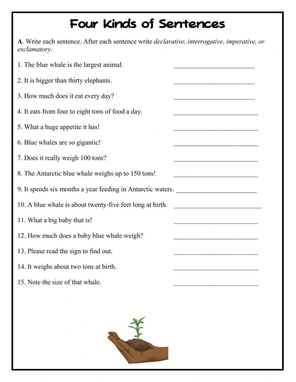 types of sentences worksheets
