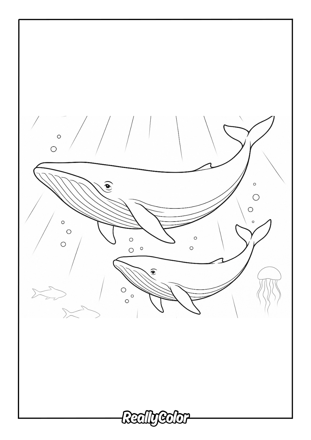 Free Printable Blue Whale Coloring Pages Free Printable Blue Whale Coloring Pages