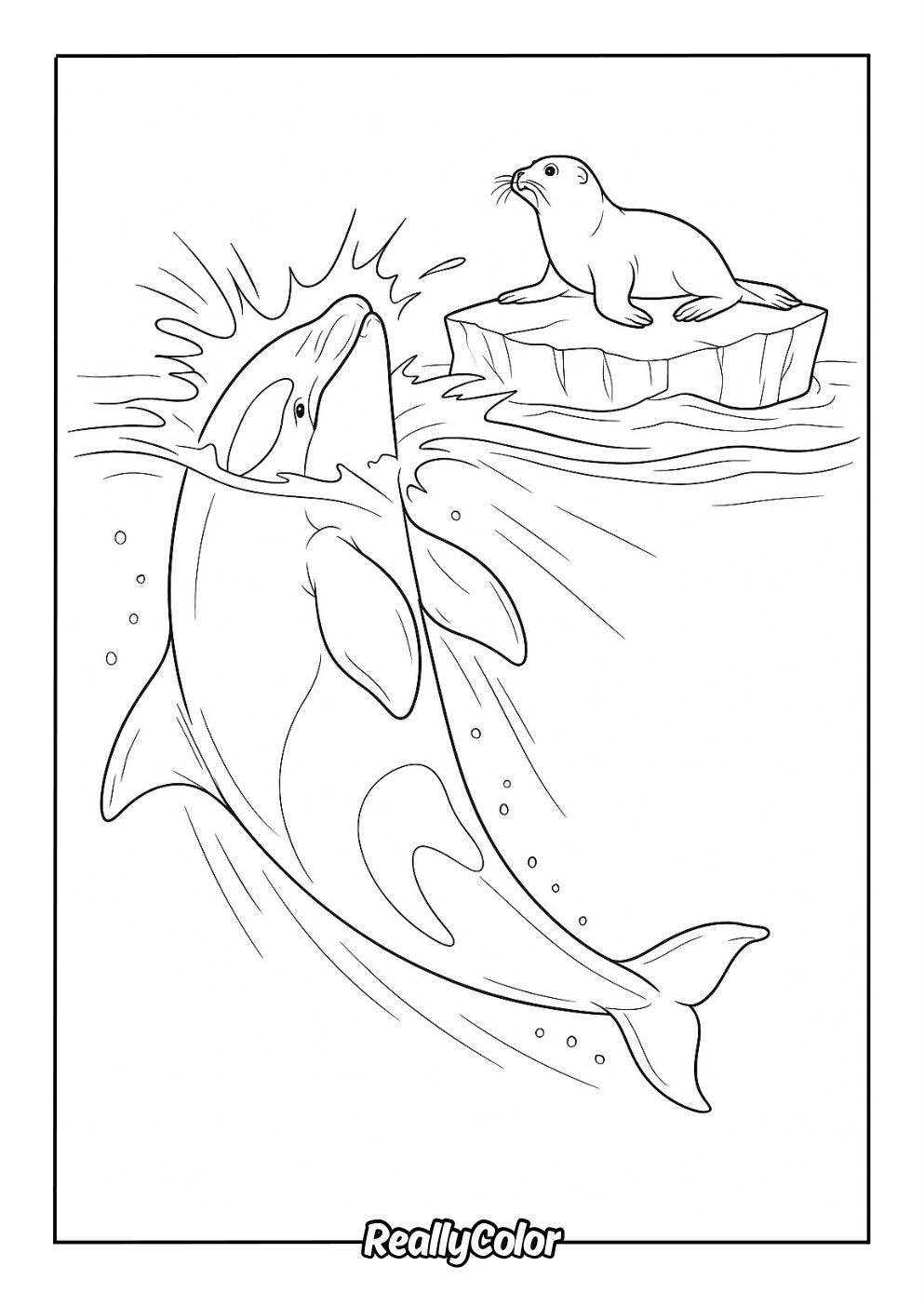 Free Printable Orca Coloring Pages