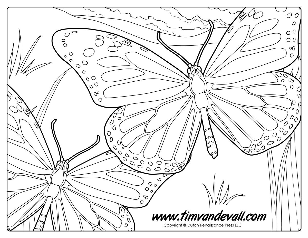 Monarch Butterfly Coloring Page Tim s Printables Monarch Butterfly Coloring Page Tim s Printables