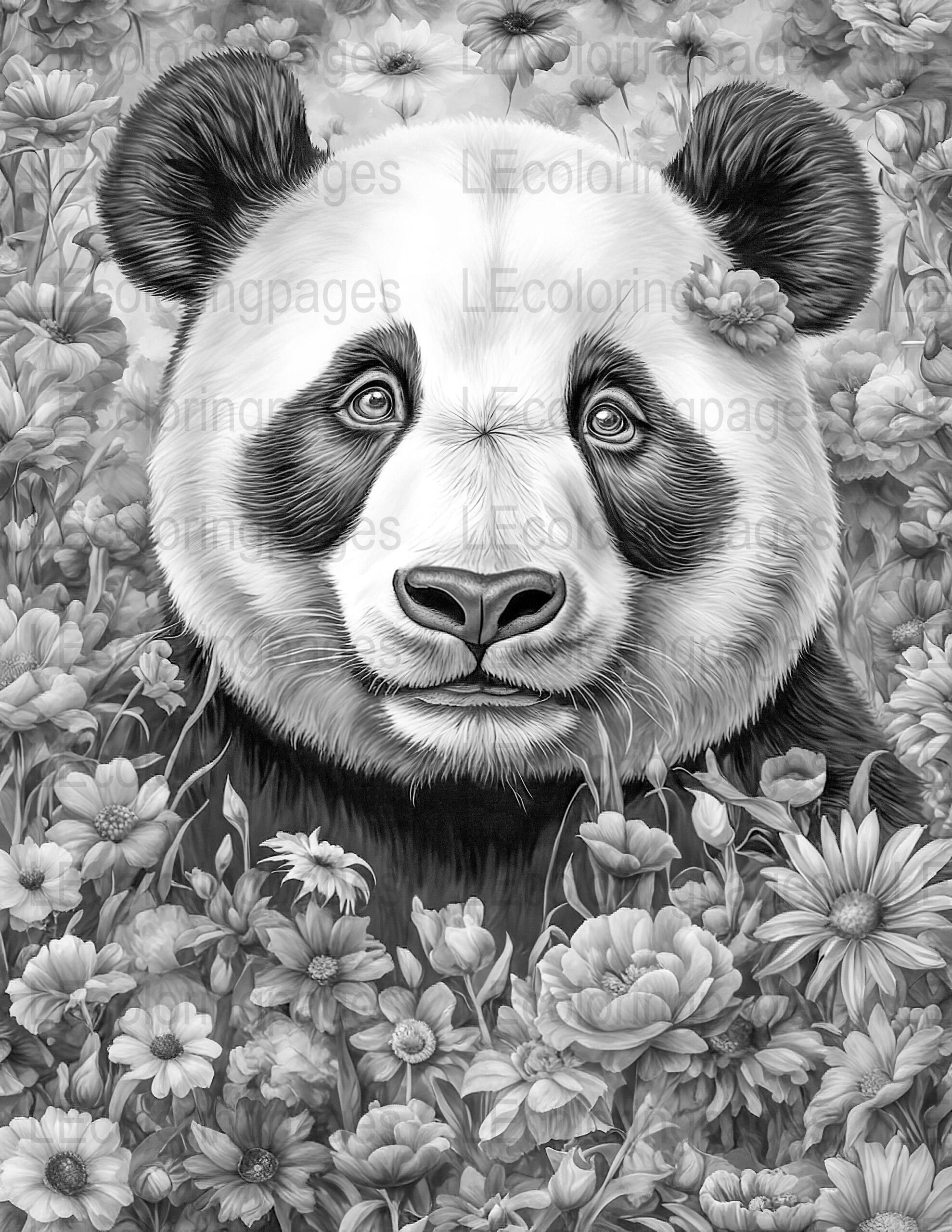 Panda Adult Coloring Page Printable Grayscale Coloring Sheet Floral Background Relaxing Coloring Activity Digital Download Etsy