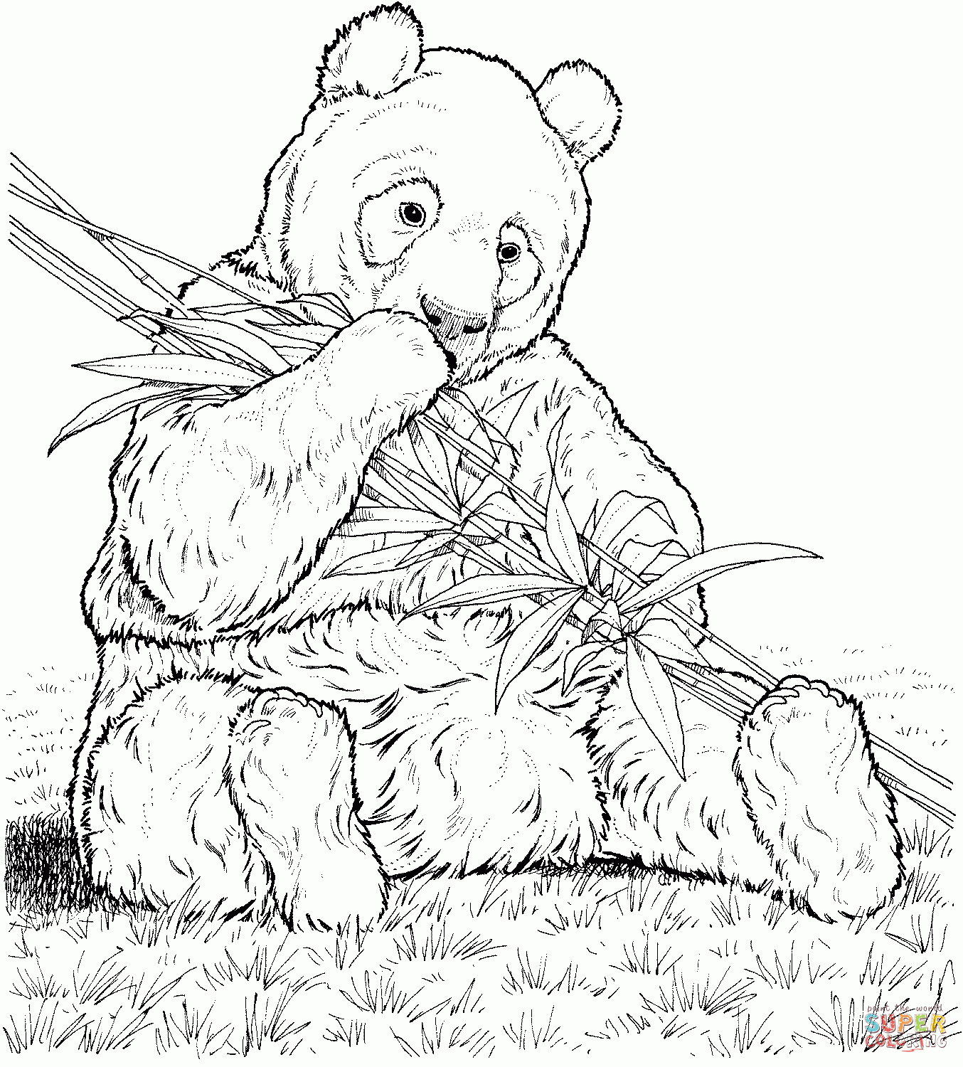giant panda coloring pages