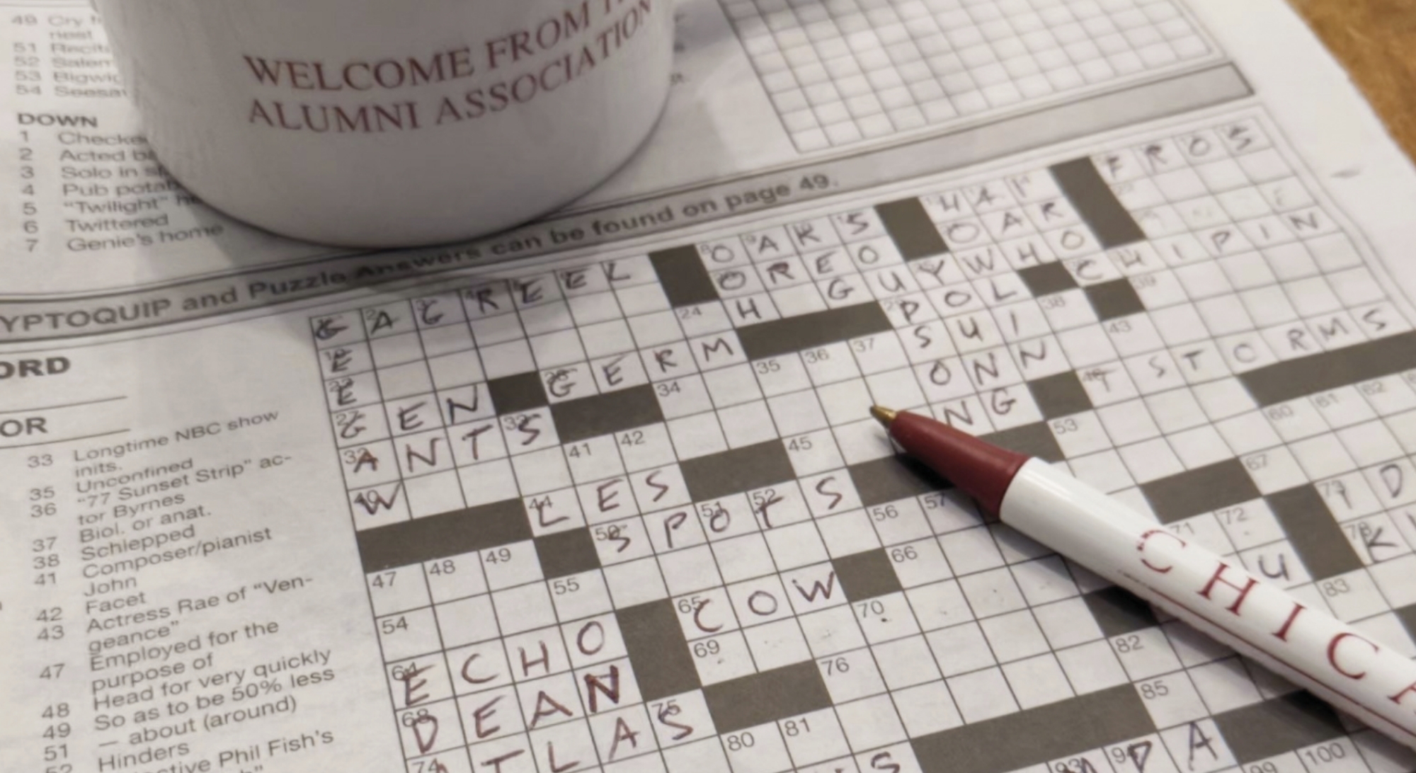 put up with crossword clue