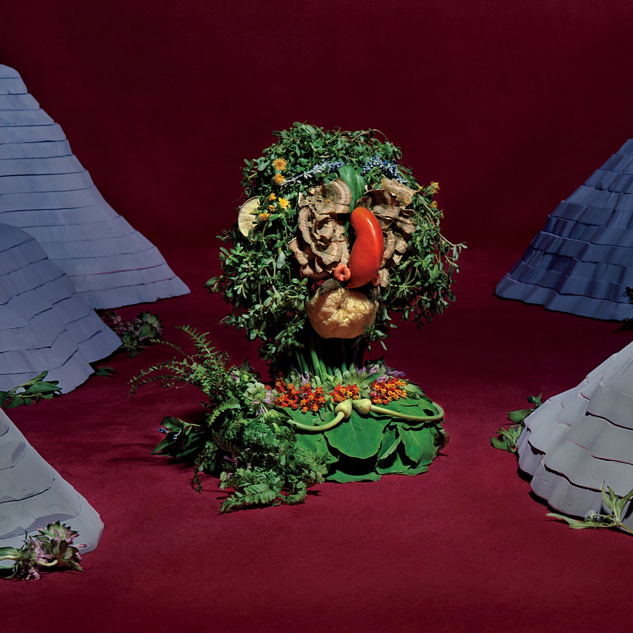 substance in herbal medicine crossword clue