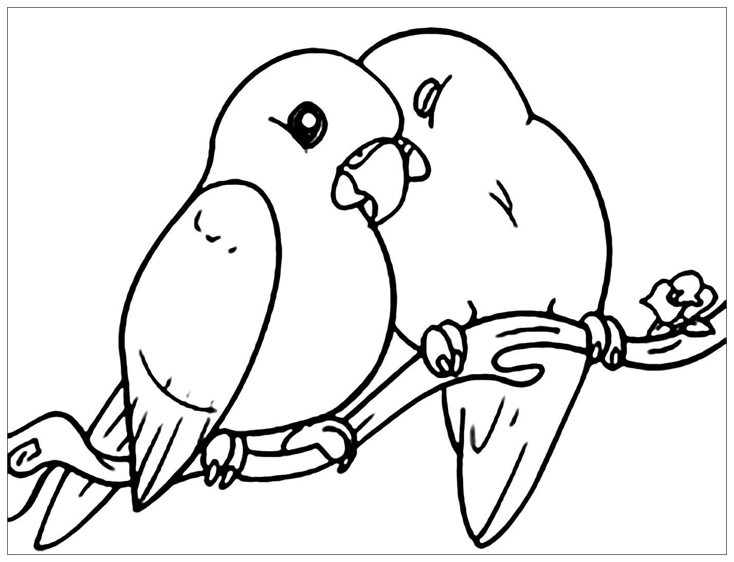 Small Birds Bird Coloring Pages