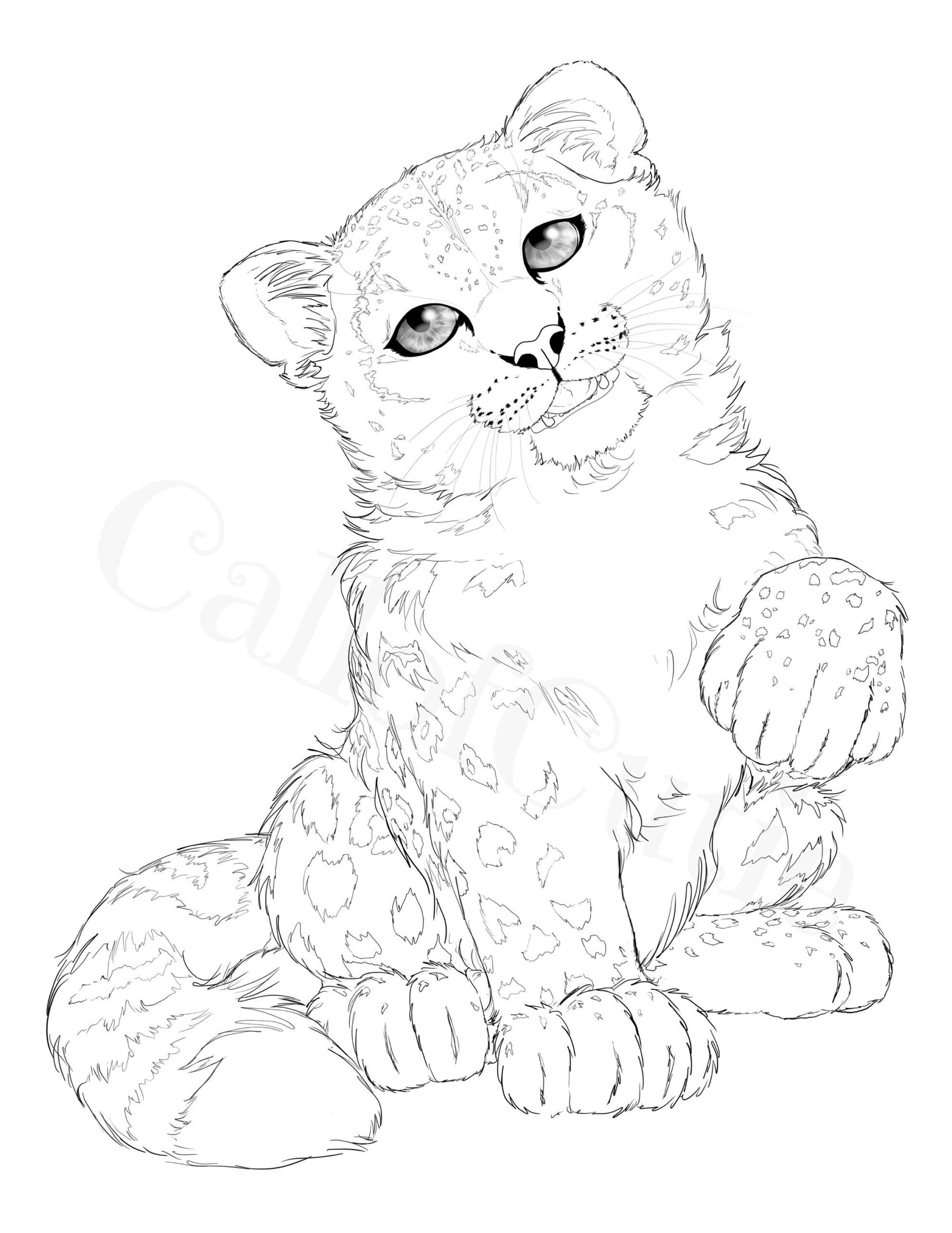 Snow Leopard Color Page snow Leopard Coloring Page big Cat Color Sheet wild Animal Color Sheet Etsy