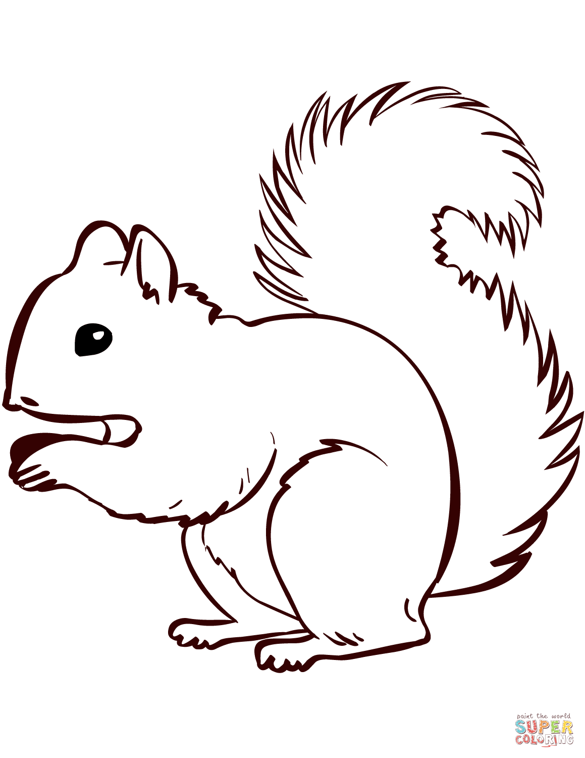 coloring pages of a squirrel coloring pages of a squirrel