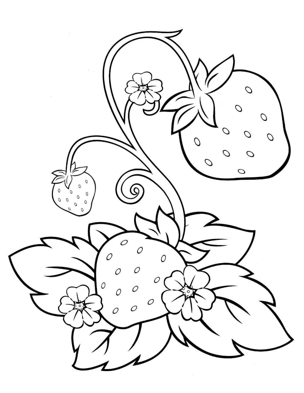 strawberry plant coloring page