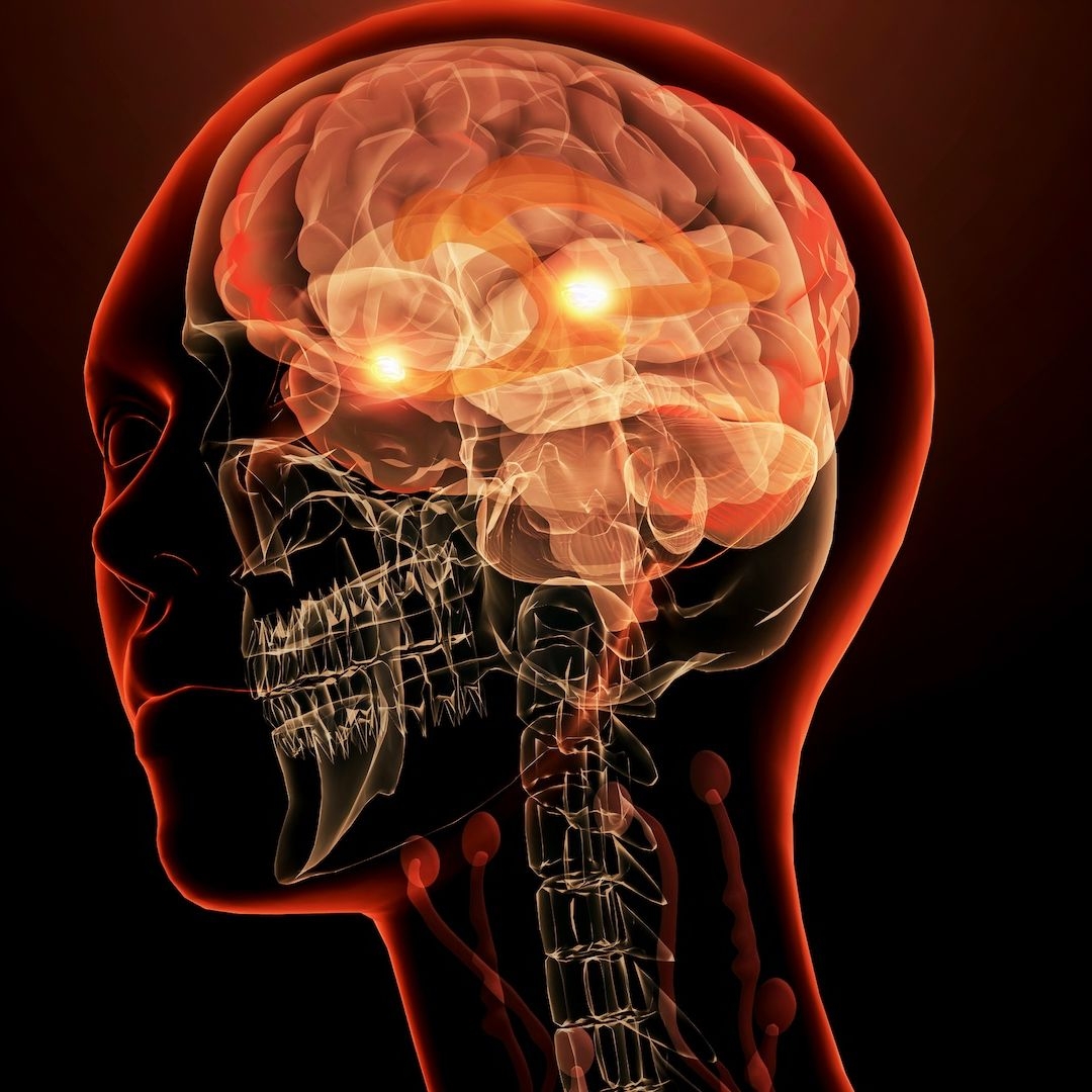  This Is Largely Uncharted Territory Scientists Reveal The Brain s fear Circuit Works Differently Than We Thought Live Science