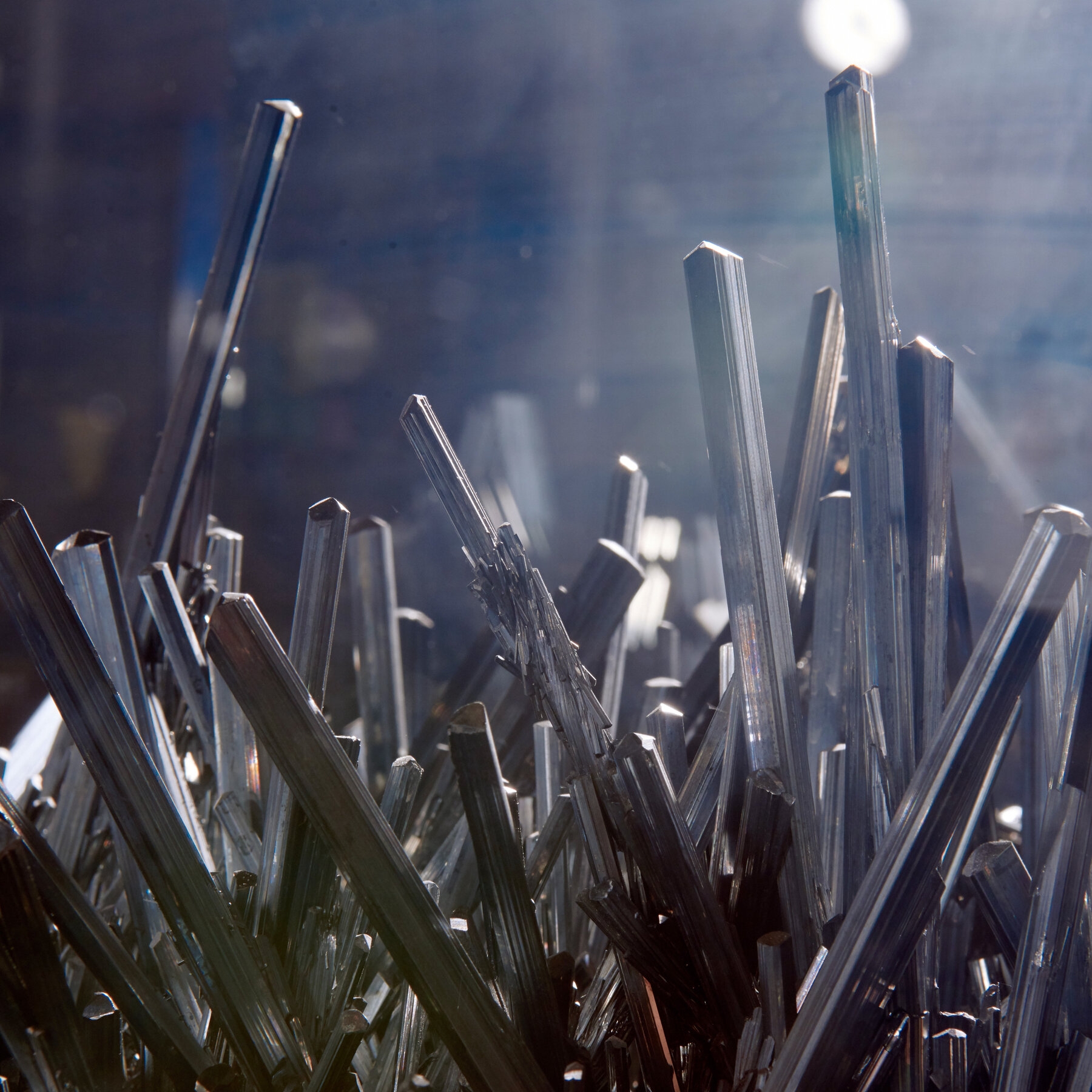 Why Geology Is Our Destiny The New York Times