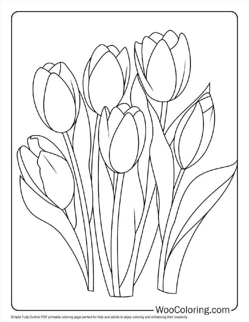 tulip template to color