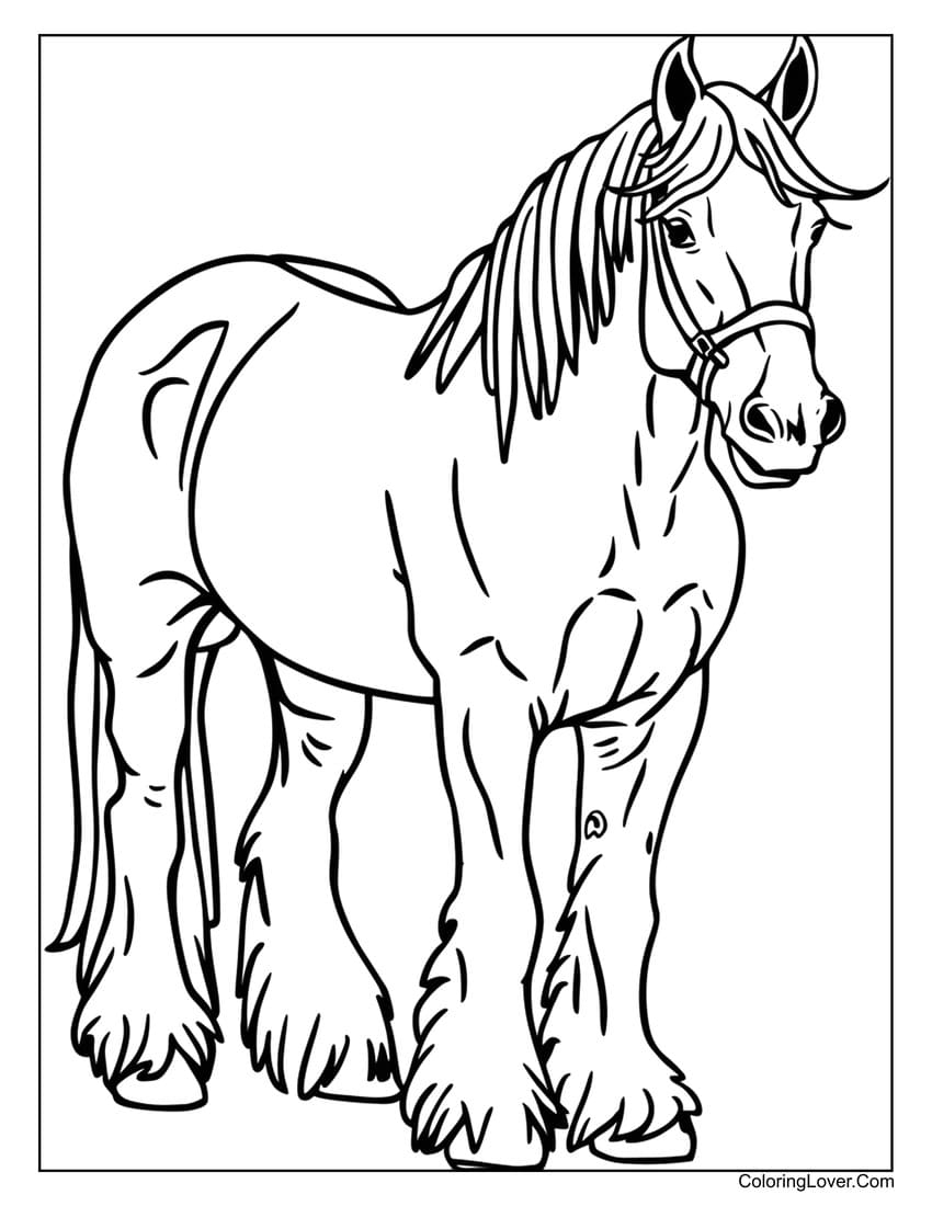 printable horse colouring pages