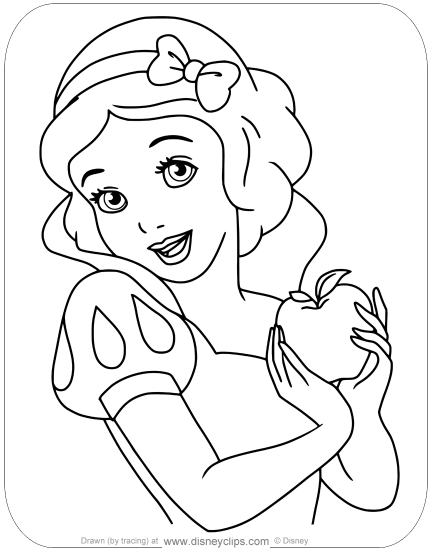 snow white color sheet