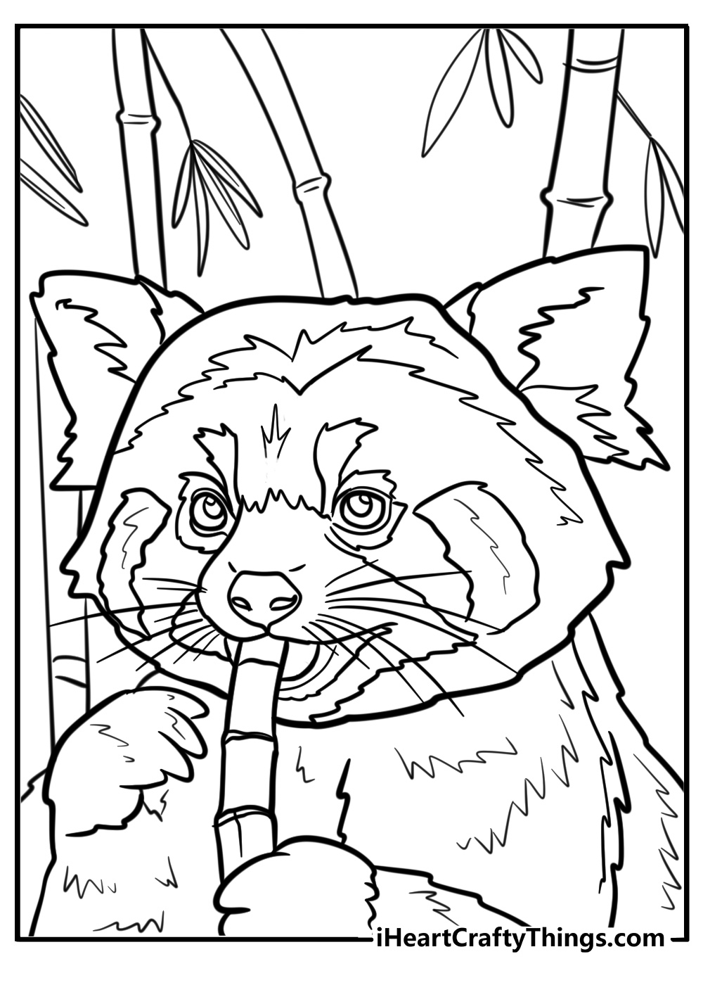 red panda coloring page red panda coloring page