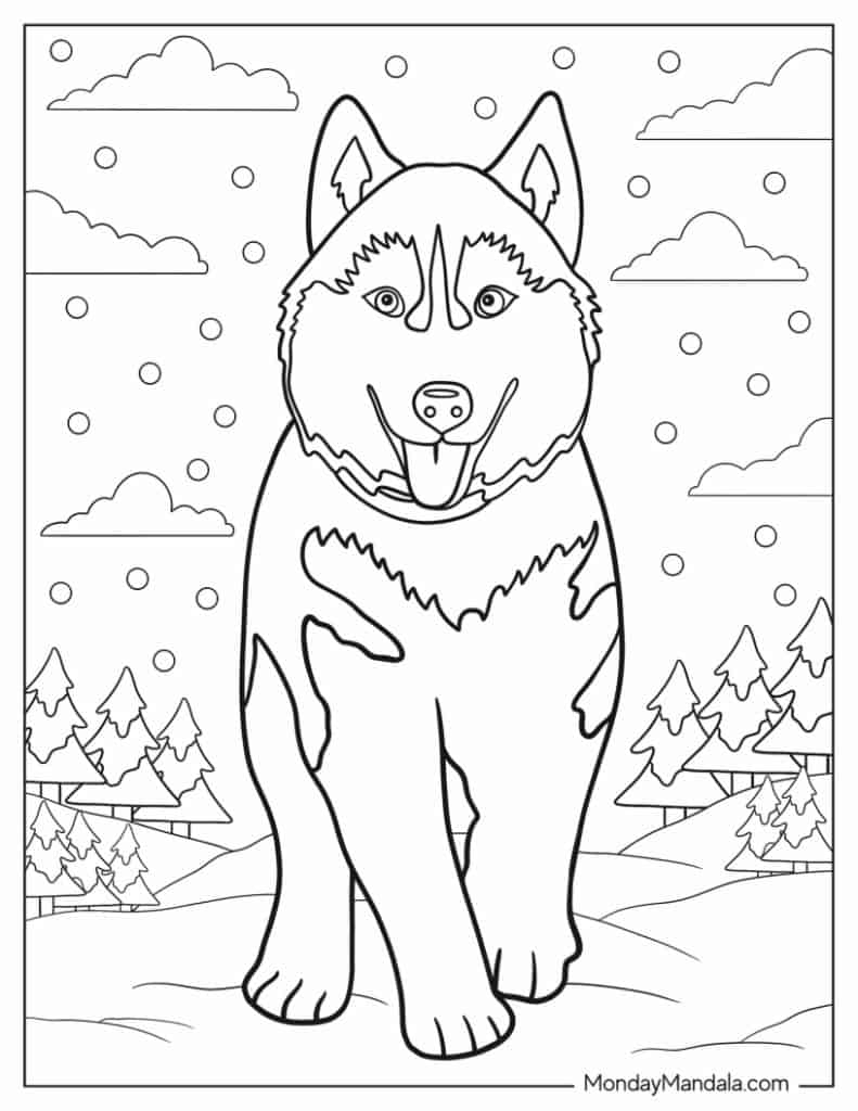 coloring pages of husky dogs