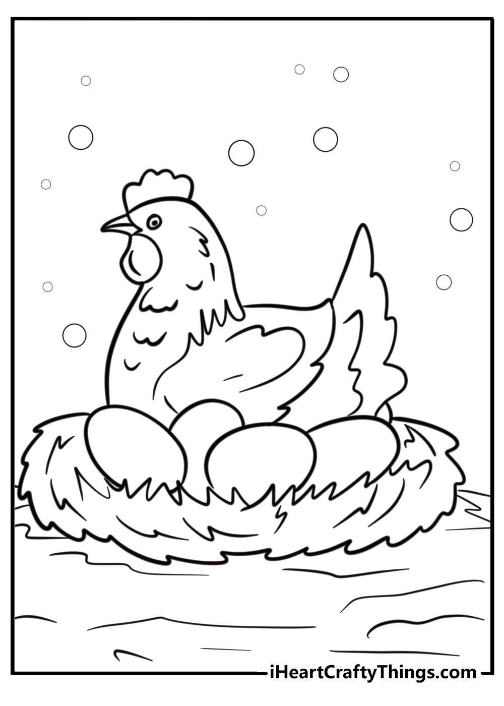 colouring pages of chickens colouring pages of chickens
