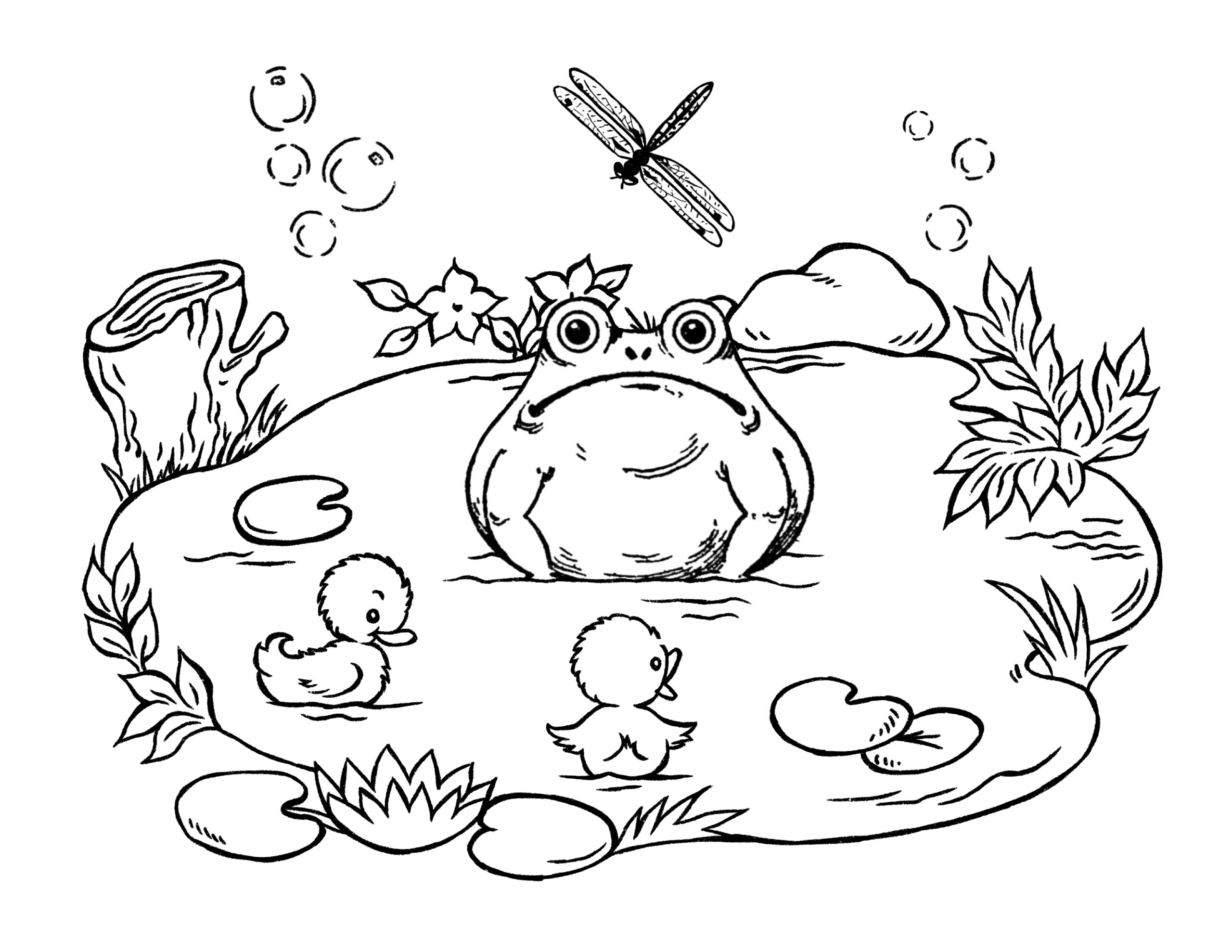coloring sheet of a frog