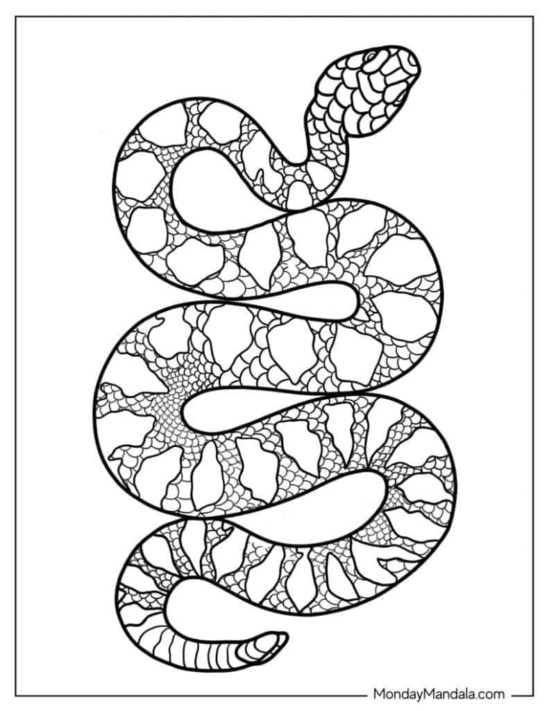 40 Snake Coloring Pages Free PDF Printables