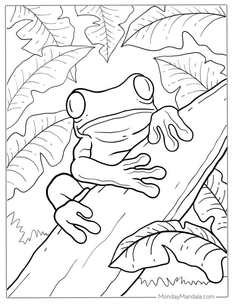 47 Frog Coloring Pages Free PDF Printables 47 Frog Coloring Pages Free PDF Printables