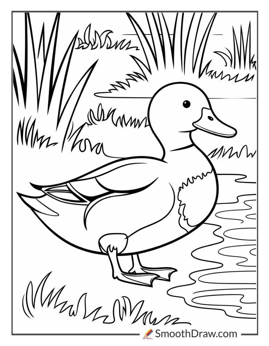 53 Duck Coloring Pages Free PDF Printables 53 Duck Coloring Pages Free PDF Printables